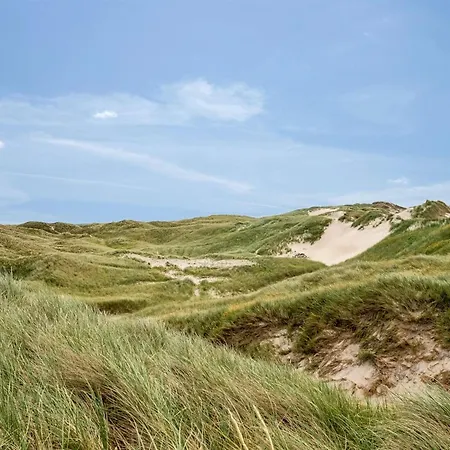 Sylwia - 900m From The Sea In Western Jutland By Interhome * Ulfborg
